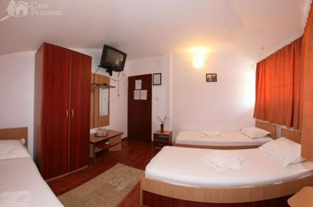 Pensiunea Ramona Tulcea Quarto foto