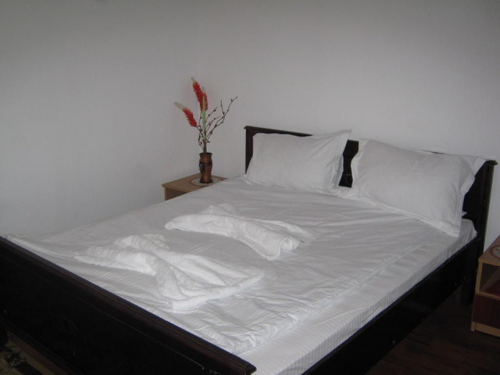 Pensiunea Ramona Tulcea Quarto foto